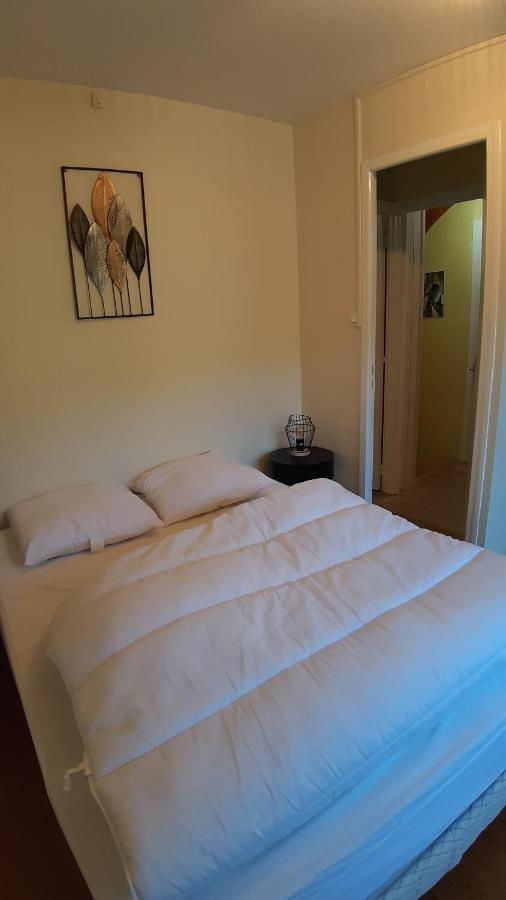 Maison 6-9 Pers Pour Vacances Et Cure Thermale Le Mont-Dore Bagian luar foto