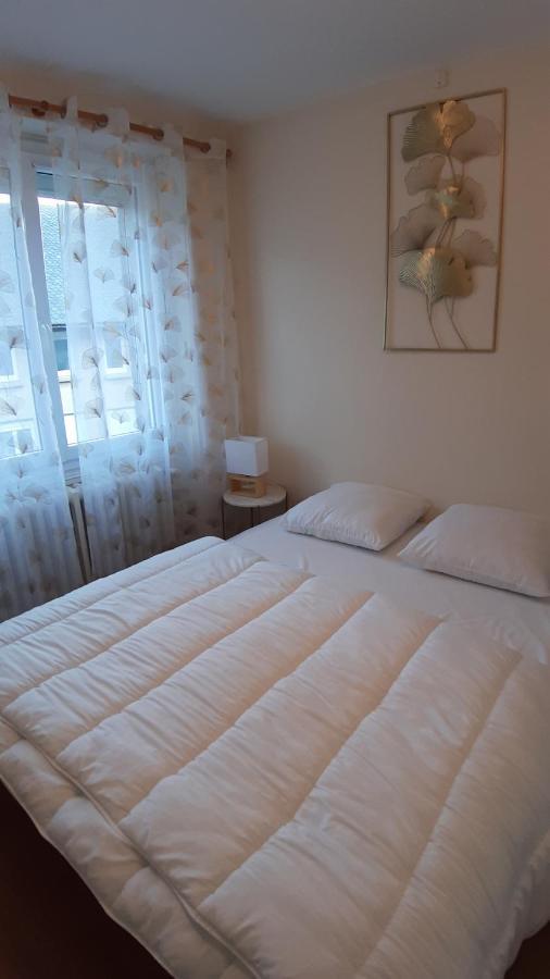 Maison 6-9 Pers Pour Vacances Et Cure Thermale Le Mont-Dore Bagian luar foto